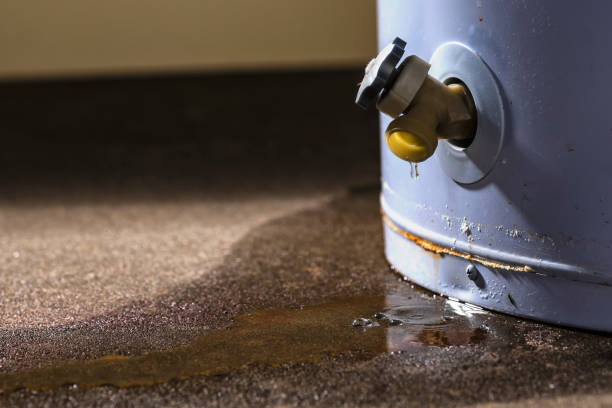 Best Water damage restoration mold remediation  in Otsego, MN