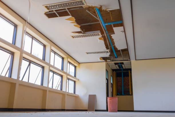 Best Flood restoration services  in Otsego, MN