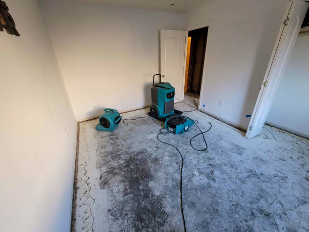 Best Water damage restoration near me  in Otsego, MN