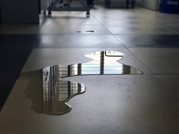 Best 24-hour water damage restoration  in Otsego, MN
