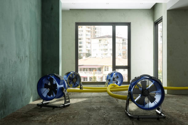 Best Residential water damage restoration  in Otsego, MN